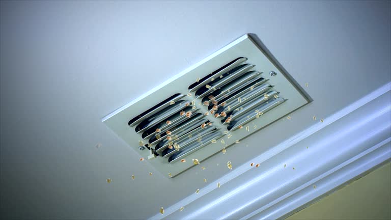 Best Air Duct Cleaning Company Near Me  in Bolinas, CA