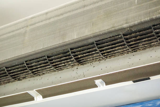 Best Local Air Duct Cleaning Services  in Bolinas, CA